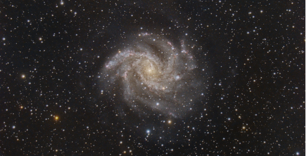 Featured image of post Fireworks Galaxy NGC 6946